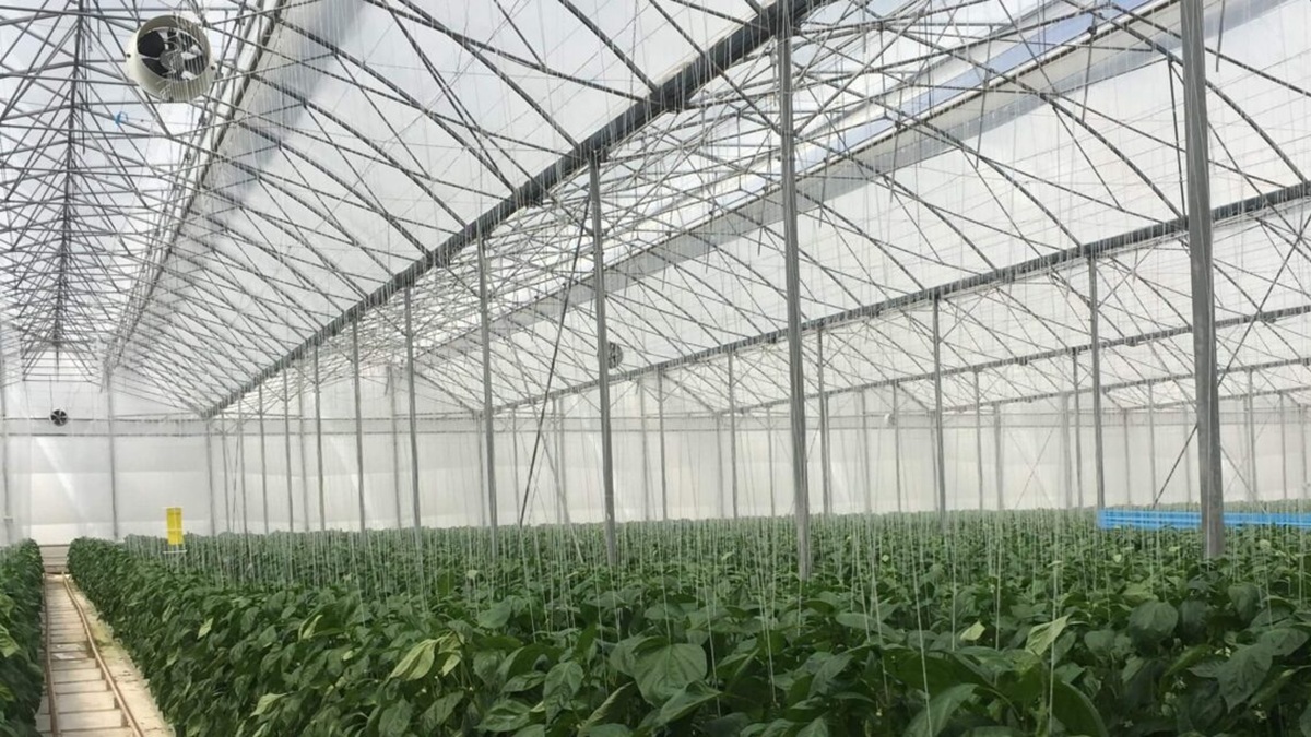 BIORETE-AIR-PLUS-1-1280x640|biorete